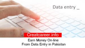 Earn Money On-line From Data Entry in Pakistan