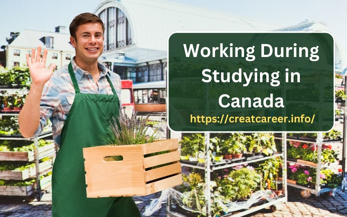 Working During studying in Canada