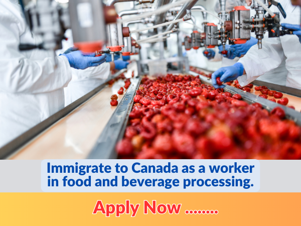 Immigrate to Canada as a worker in food and beverage processing.
