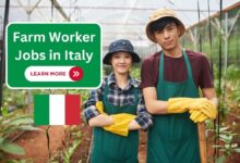 Farm Worker Jobs in Italy
