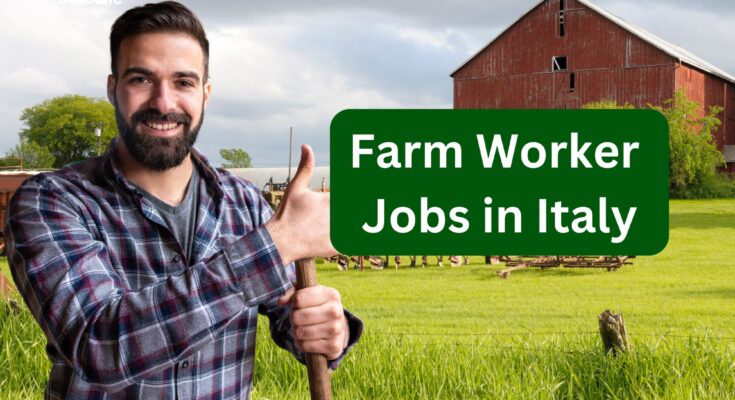 Farm Worker Jobs in Italy