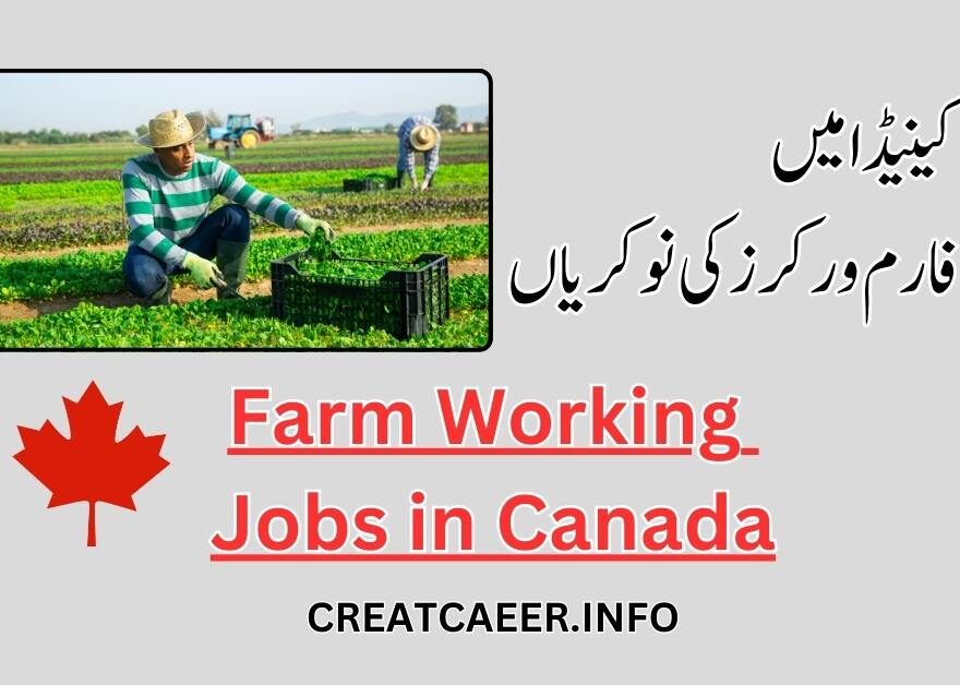 Farm Working Jobs in Canada